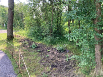 Lebensraum Hecke