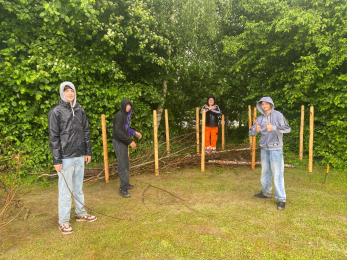 Lebensraum Hecke