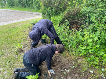 Lebensraum Hecke