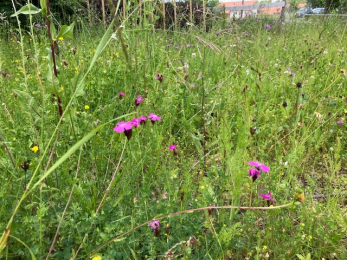 Teiche und Uferzonen