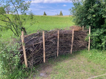 Lebensraum Hecke