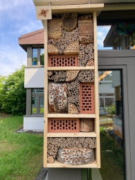 Insekten und ihre Lebensräume